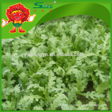 Verduras frescas Crowndaisy Crisantemo Hortalizas de hoja